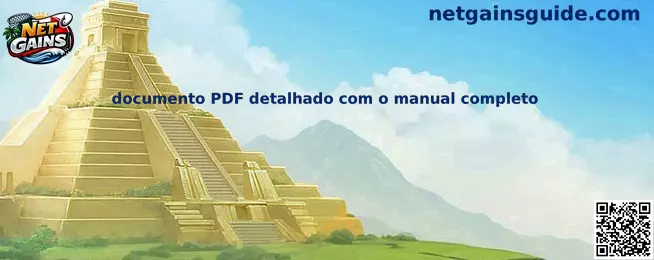 Documento PDF detalhado com o manual completo