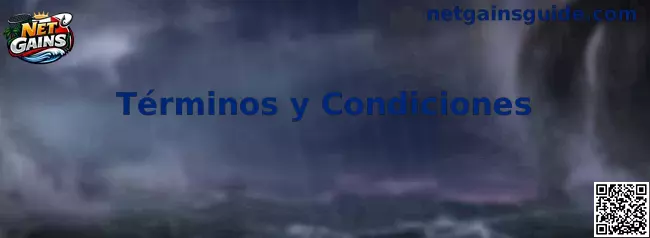 Términos y condiciones de Net Gains